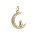 Detalle de colgante de búho dentro de una luna dorada con grabados de plata finos - Colgante Luna Creciente Búho Dorado