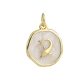 Detalle de un colgante de delfín bañado en oro de 18k con esmalte blanco para crear joyería DIY - Placa Redonda Delfín Dorado (06)