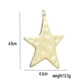 Detailed view of gold starfish pendant with hammered texture and dimensions 4.9cm by 4.3cm - Hammered Starfish Texture (8)