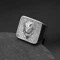 Men's silver stainless steel ring with lion head relief and cubic zirconia on rock base - US 7 / Steel