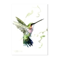 Detailed macro view of colorful watercolor hummingbird art with elegant paint strokes - 40x50cm / Watercolor Flying Hummingbird (15288)