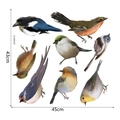Detailed size chart for hummingbird wall decals showing 45cm by 43cm total dimensions - 45x43cm / Realistic Bird Style (JEX90016)