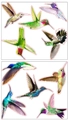 Lot de stickers muraux colibris colorés aux motifs d'oiseaux verts, bleus et rouges - Collection de Colibris Colorés (TBW1199)