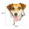 Vinilo pared 3D perro Jack Russell con efecto de grieta, tamaño 29cm x 19cm - Estilo Jack Russell Terrier Realista 3D (CT20340J_T) / 21cm*23cm