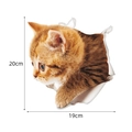 3D ginger tabby kitten peeking through white wall break, PVC decal sticker, 19x20cm size - 3D Realistic Orange Kitten Style (CT20342J_T)