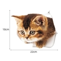 3D cat wall sticker showing a brown kitten peeking through a hole, size 22x18cm - 3D Realistic Cat Head Style (CT20345J_T)