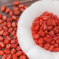 Macro shot of red tulip glass beads with gold trim for handmade DIY jewelry crafts - Gold Traced Tulip (6#) / 1 Piece / Red
