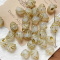 Macro detail of shell-shaped glass beads with gold accents for DIY jewelry making - Clear White