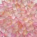 Macro detail of frosted pink gradient seed beads for DIY handmade jewelry crafting - Pink-Orange Gradient Frosted Style (8#) / 10g Pack