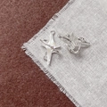 Primo piano di orecchini a stella in argento con pietre luminose su sfondo in tessuto - Stella a Quattro Punte Argento con Strass (25#)
