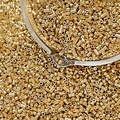 Macro shot of gold cylinder glass seed beads with metallic finish for DIY jewelry making - Style 3