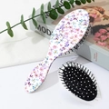 Floral air cushion hairbrush with massage bristles shown next to modern lifestyle props - Mint Green Floral (A)