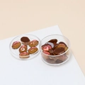 Macro shot of colorful iridescent resin beads for DIY jewelry in a clear storage box - 10 Pieces Pack / Brown
