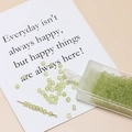 Macro shot of 3mm light green frosted glass seed beads in a plastic storage box for DIY - 17# Green