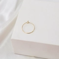 Créoles minimalistes en or 14 carats avec finition polie et design circulaire mince - Petit Rond (18K)