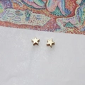 Minimalist 14k gold-plated star stud earrings with a bright polished metallic finish - Star-Small (11#) / 18K Gold Plated