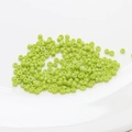 Detailed view of 2mm grass green seed beads in a white bowl for DIY jewelry making - 10 g / Light Green