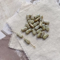 Macro detail of retro fish-shaped glass beads for DIY jewelry with artistic texture - 2# Yellow Green Fish Bead