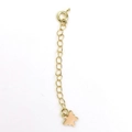 Chaîne d'extension plaquée or 14k avec fermoir à ressort et pendentif papillon pour DIY - Style Fermoir Ressort Papillon / Or blanc / Argent