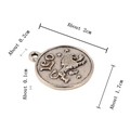 Antiek zilveren Leeuw sterrenbeeld hanger van zinklegering voor DIY sieraden armbanden - Leeuw