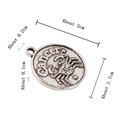 Antiek zilveren Kreeft sterrenbeeld bedel voor DIY sieraden, 2cm ronde legering hanger - Kreeft