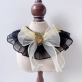 Elegant black lace pet collar with white mesh bow and vintage amber gem decoration - XS / Gold Trimmed Bowknot Mesh Collar