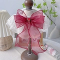 Collare per animali con fiocco in organza bordeaux, pizzo e gemma rossa centrale - XS (15-20cm) / Rosso Vino Elegante
