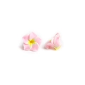 Charm's fleurs plumeria en pâte polymère rose et jaune pour bijoux DIY - Fleur Rose