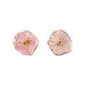 DIY handmade resin pendant with natural dried pink daisy flower for jewelry making - Pink