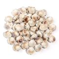 Cremeweiße Keramik-Muschelperlen mit braunem Farbverlauf für DIY-Schmuckzubehör - Beige und Braun Verlauf Stil (6) / 12mm (1,8mm Loch)