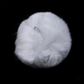Fluffy white mink fur ball charm with elastic loop for DIY bag accessories and decor - 8cm / White