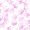 Macro detail of cherry blossom beads with purple gradient and center holes for DIY jewelry - Purple Sakura
