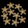 Detailed macro view of star-shaped copper wire mesh jewelry components in gold plating - Star Flower Shape (1#)