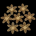 Detailed view of seven golden wire mesh flower charms for DIY jewelry making accessories - Polished Edge Six-Petal Mesh (10#)