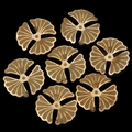 Set of seven gold flower petal wire mesh jewelry charms with center holes for DIY design - Petal Shape Hollow Piece (6#)