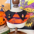 Halloween pet collar featuring orange and purple stripes with pumpkin and black cat details - Orange Striped Scarf
