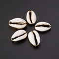 Five pieces of natural cowrie shells with gold-plated edges for DIY jewelry making - White Gold Edge (18#)