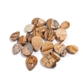 Polished water-drop natural picture jasper stone cabochons for DIY jewelry making - Picture Jasper 10x14 (T20141)
