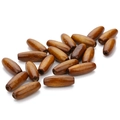 Close-up of olive-shaped dark brown maple wood beads with natural grain for DIY crafts - Long Oval Bead / 7x15mm (100 Pieces) / Light Coffee
