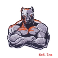 Toppa ricamata con pitbull muscoloso in grigio e arancione per abbigliamento - Figura di Pitbull Muscoloso (PE5977CT)