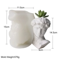 Silicone mold for DIY David bust planter pot, 15cm height for plaster and concrete crafts - David Sculpture Style (H-0285)