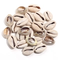 Coquillages cauris naturels blanc crème avec coupe arrière pour création de bijoux DIY - Environ 12-14mm (40g) / Couleur d'origine