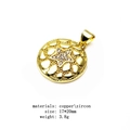 Detail van ronde gouden hanger met stergravure en witte zirkoon op messing basis - Ster Zirkonia Ronde Hanger (11) / Goud