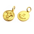 Detalle macro del colgante de Capricornio dorado con grabado ambicioso y relieve de cabra - Capricornio