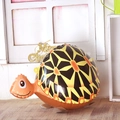 Standing turtle walking balloon in orange and yellow for kids birthday party decoration - Turtle