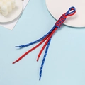 Detail of red and blue braided polyester lanyards with transparent aglets on a plate - Dark Blue And Red Block
