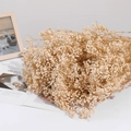 Natural cream white dried baby's breath flower bouquet on white surface with decor - 350-400g / Off-white