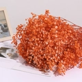 Vibrant orange dried baby's breath bouquet in a cozy home decor setting - 350-400g / Orange