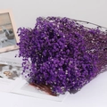 Large bouquet of deep purple dried gypsophila flowers for home decor and gifts - 350-400g / Purple