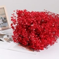 Dried baby's breath flower bouquet in vibrant red for home decor and gifts - 350-400g / Red